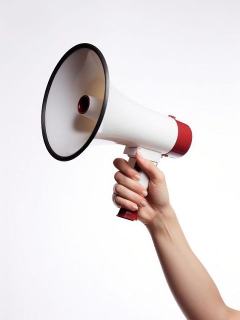 Jual Megaphone Toa Jakarta